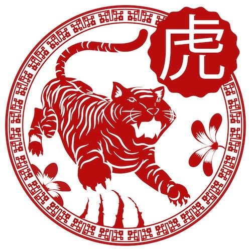 Tigre